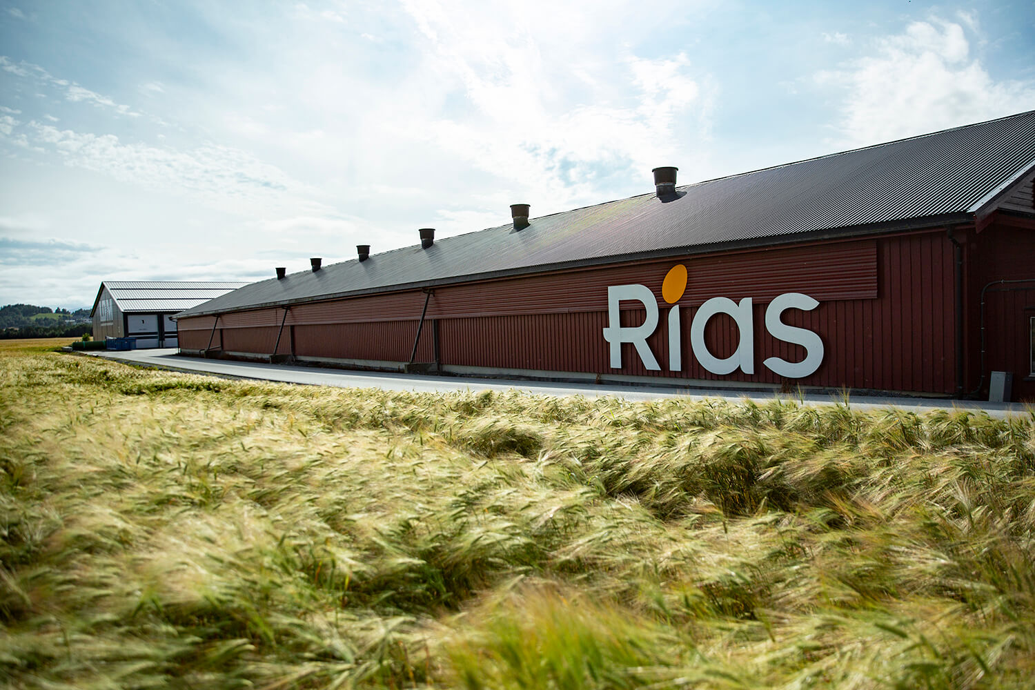 Stort utskåret fasadeskilt for Rias.